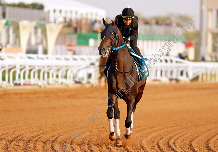 Midnight-Bourbon-0004 
 MIDNIGHT BOURBON training for the Saudi Cup
King Abdulaziz Racetrack, Riyadh, Saudi Arabia 24 Feb 2022 - Pic Steven Cargill / Racingfotos.com