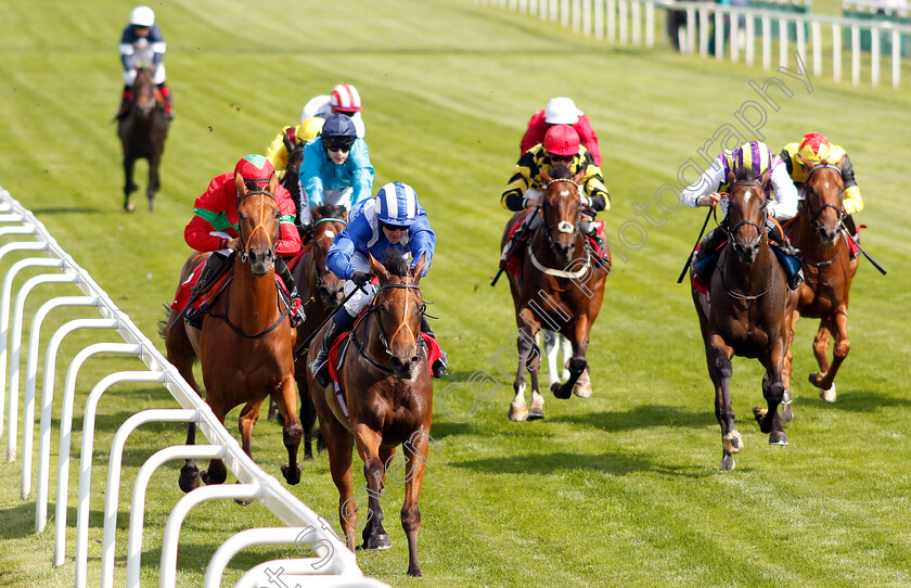 Elsaabiqaat-0004 
 ELSAABIQAAT (Jim Crowley) wins The Read Silvestre De Sousa At 188bet Nursery
Sandown 31 Aug 2018 - Pic Steven Cargill / Racingfotos.com