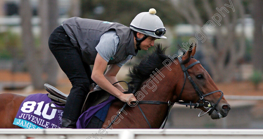 James-Garfield-0001 
 JAMES GARFIELD training for The Breeders' Cup Juvenile Turf at Del Mar USA, 1 Nov 2017 - Pic Steven Cargill / Racingfotos.com