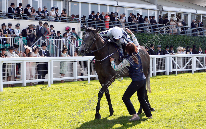 Alpha-Centauri-0007 
 ALPHA CENTAURI (Colm O'Donoghue) after The Coronation Stakes
Royal Ascot 22 Jun 2018 - Pic Steven Cargill / Racingfotos.com