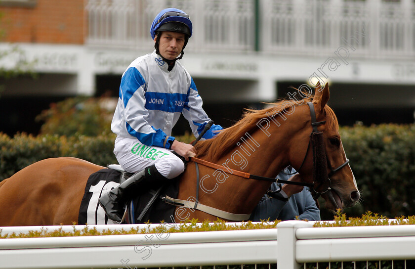 Model-Guest-0001 
 MODEL GUEST (Luke Morris)
Ascot 1 May 2019 - Pic Steven Cargill / Racingfotos.com