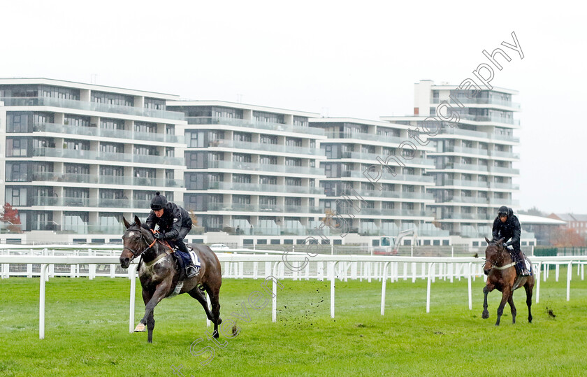 Annsam-0002 
 ANNSAM (Conor Ring) at Coral Gold Cup Weekend Gallops Morning
Newbury 15 Nov 2022 - Pic Steven Cargill / Racingfotos.com