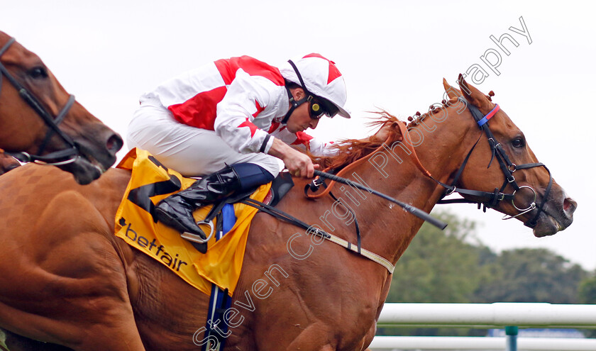 Holloway-Boy-0002 
 HOLLOWAY BOY (William Buick) wins The Betfair Superior Mile Stakes
Haydock 7 Sep 2024 - Pic Steven Cargill / Racingfotos.com