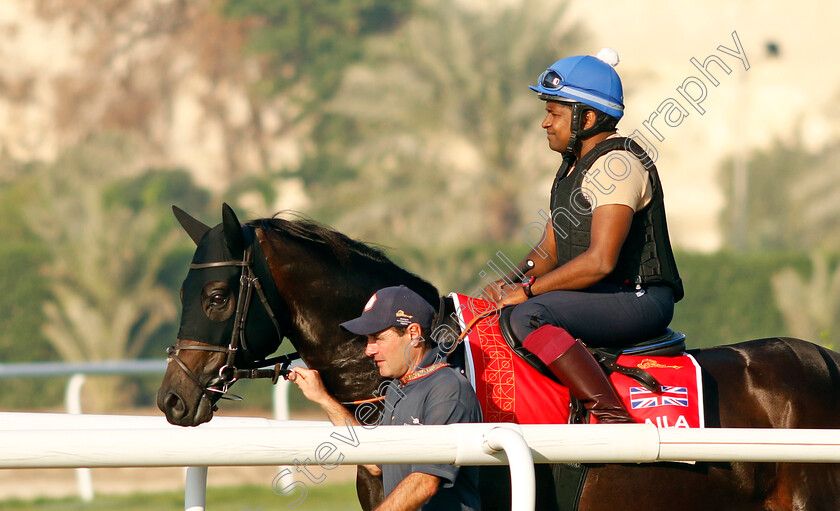 Alflaila-0004 
 ALFLAILA training for the Bahrain International Trophy
Kingdom of Bahrain 13 Nov 2024 - Pic Steven Cargill / Racingfotos.com