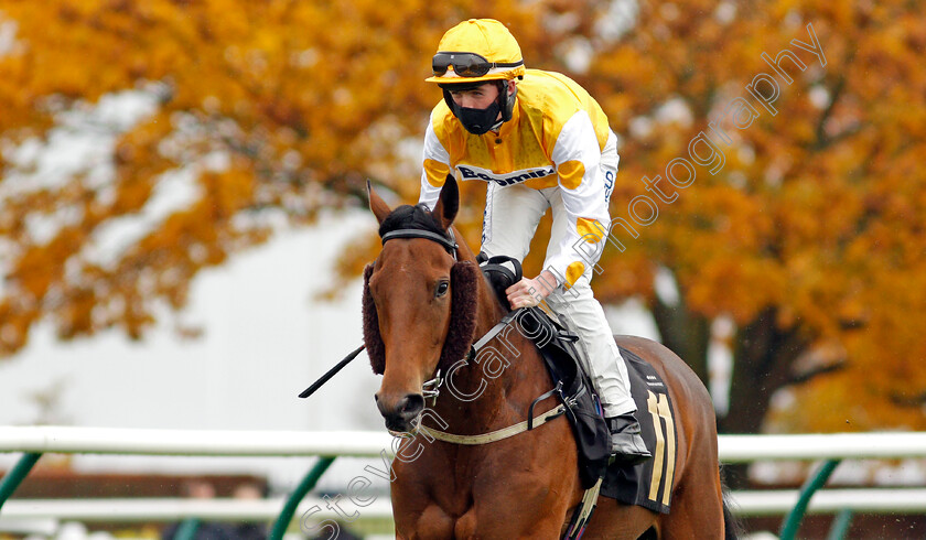 Woo-Woo-0002 
 WOO WOO (Darragh Keenan)
Newmarket 21 Oct 2020 - Pic Steven Cargill / Racingfotos.com