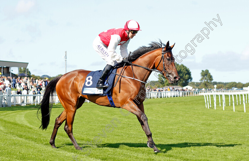 I-Siyou-Baby-0001 
 I SIYOU BABY (Pat Cosgrave)
Yarmouth 15 Sep 2021 - Pic Steven Cargill / Racingfotos.com