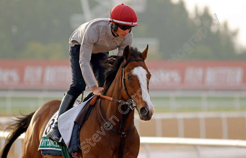 Spirit-Dancer-0001 
 SPIRIT DANCER training for The Sheema Classic
Meydan Dubai 28 Mar 2024 - Pic Steven Cargill / Racingfotos.com