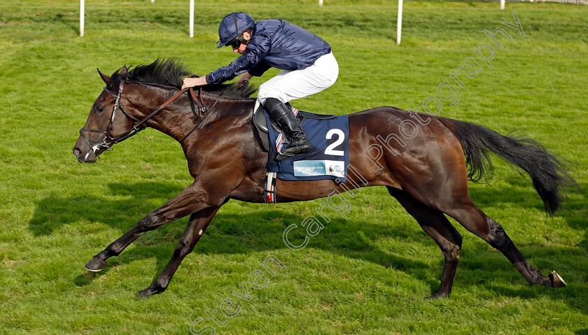 Battle-Cry-0001 
 BATTLE CRY (Ryan Moore) wins The British EBF 40th Anniversary Convivial Maiden Stakes
York 25 Aug 2023 - Pic Steven Cargill / Racingfotos.com