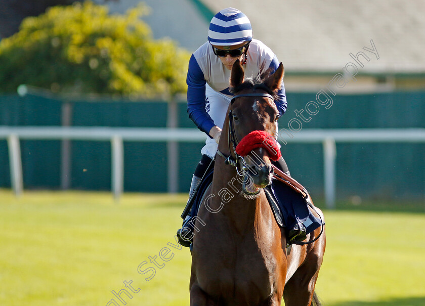 Arcturus-Flame-0001 
 ARCTURUS FLAME (Jason Watson)
Yarmouth 17 Sep 2024 - Pic Steven Cargill / Racingfotos.com