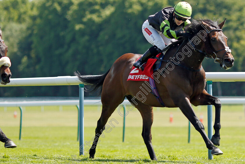 Solent-Gateway-0003 
 SOLENT GATEWAY (Hollie Doyle) wins The Betfred TV Hell Nook Handicap
Haydock 27 May 2023 - pic Steven Cargill / Racingfotos.com