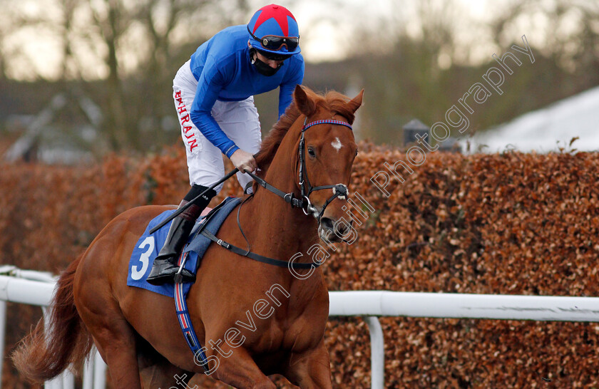 Kestenna-0001 
 KESTENNA (Robert Havlin) winner of The Unibet Casino Deposit £10 Get £40 Bonus Fillies Novice Stakes
Kempton 16 Feb 2021 - Pic Steven Cargill / Racingfotos.com