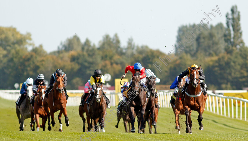 Whenthedealinsdone-0002 
 WHENTHEDEALINSDONE (right, Jason Watson) beats TWILIGHT CALLS (2nd right) in The British Stallion Studs EBF Maiden Stakes
Newbury 18 Sep 2020 - Pic Steven Cargill / Racingfotos.com