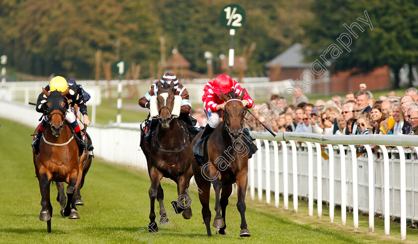 Curious-Fox-0001 
 CURIOUS FOX (right, David Probert) beats INCENTIVE (left) and CHICA DE LA NOCHE (centre) in The Netbet Betmaker Fillies Handicap
Goodwood 4 Sep 2018 - Pic Steven Cargill / Racingfotos.com