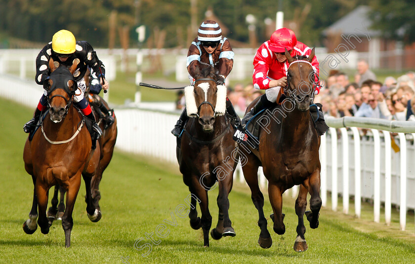 Curious-Fox-0002 
 CURIOUS FOX (right, David Probert) wins The Netbet Betmaker Fillies Handicap
Goodwood 4 Sep 2018 - Pic Steven Cargill / Racingfotos.com