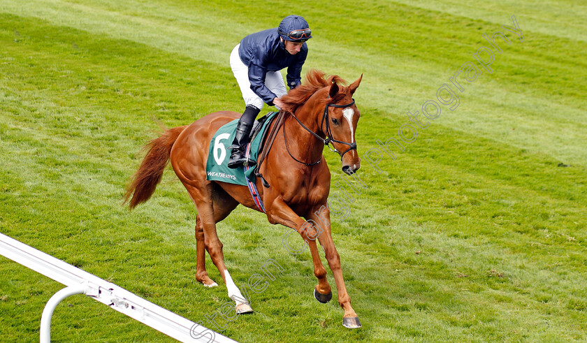 Savethelastdance-0010 
 SAVETHELASTDANCE (Ryan Moore) winner of The Weatherbys Digital Solutions Cheshire Oaks
Chester 10 May 2023 - Pic Steven Cargill / Racingfotos.com