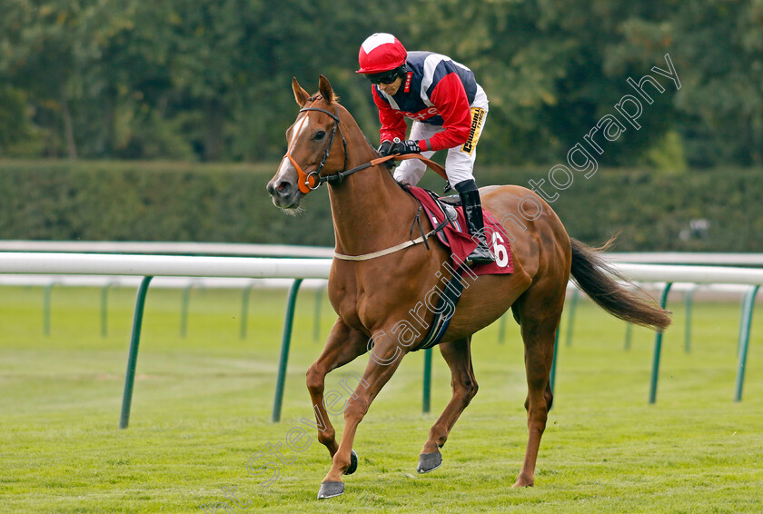 Ventura-Express-0001 
 VENTURA EXPRESS (Graham Lee)
Haydock 2 Sep 2022 - Pic Steven Cargill / Racingfotos.com