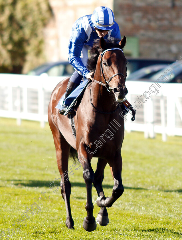 Jahbath-0001 
 JAHBATH (Jim Crowley)
Salisbury 3 Oct 2018 - Pic Steven Cargill / Racingfotos.com