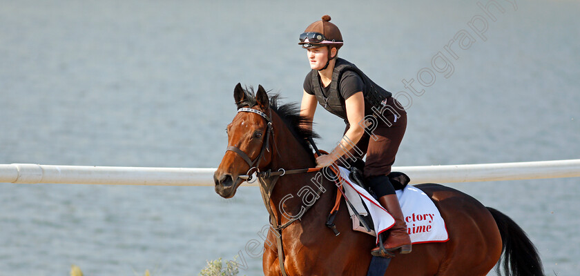 Victory-Chime-0004 
 VICTORY CHIME exercising in preparation for Friday's Bahrain International Trophy
Sakhir Racecourse, Bahrain 18 Nov 2021 - Pic Steven Cargill / Racingfotos.com