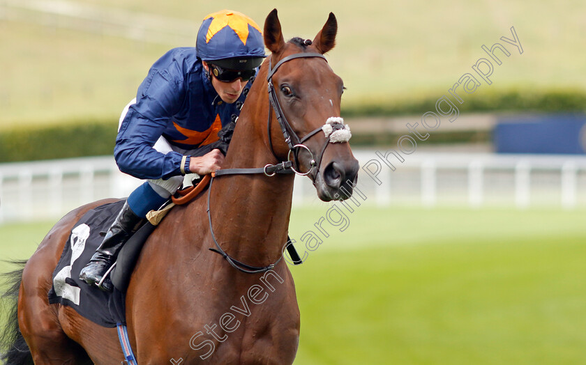 Ndaawi-0006 
 NDAAWI (William Buick) winner of The William Hill EBF Restricted Maiden Stakes
Goodwood 28 Aug 2022 - Pic Steven Cargill / Racingfotos.com