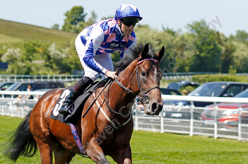 Bated-Breeze-0002 
 BATED BREEZE (Tom Queally)
Goodwood 26 May 2023 - Pic Steven Cargill / Racingfotos.com