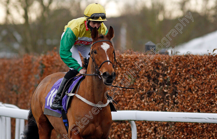 The-Yellow-Mini-0001 
 THE YELLOW MINI (Callum Hutchinson)
Kempton 16 Feb 2021 - Pic Steven Cargill / Racingfotos.com