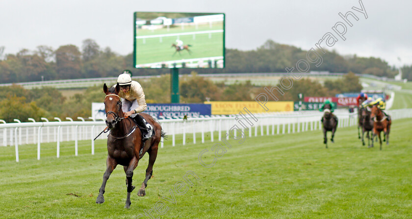 Monica-Sheriff-0002 
 MONICA SHERIFF (Tom Marquand) wins The Thoroughbred Breeders Association Fillies Handicap
Goodwood 25 Sep 2019 - Pic Steven Cargill / Racingfotos.com