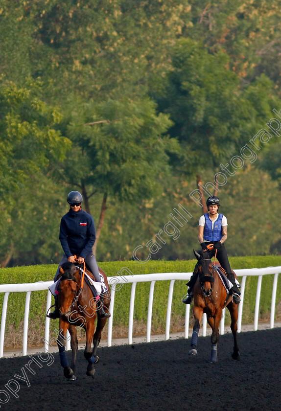 Kahraman-and-Hala-Abrar-0001 
 KAHRAMAN leads HALA ABRAR training at the Dubai Racing Carnival
Meydan 1 Feb 2024 - Pic Steven Cargill / Racingfotos.com