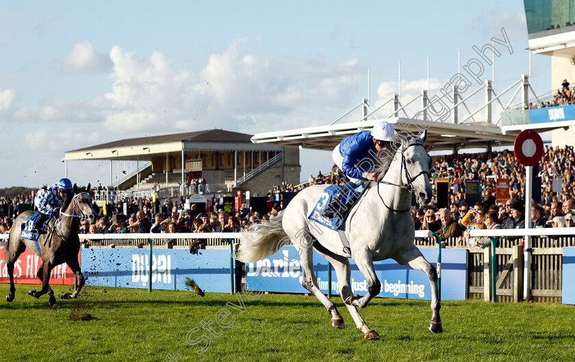 Highland-Avenue-0003 
 HIGHLAND AVENUE (William Buick) wins The Darley Stakes
Newmarket 14 Oct 2023 - Pic Steven Cargill / Racingfotos.com