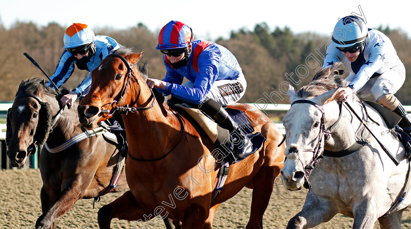 Kingdom-Found-0002 
 KINGDOM FOUND (centre, Daniel Muscutt) beats FINAL FANTASY (right) and EYES (left) in The Get Your Ladbrokes Daily Odds Boost Handicap
Lingfield 26 Feb 2021 - Pic Steven Cargill / Racingfotos.com