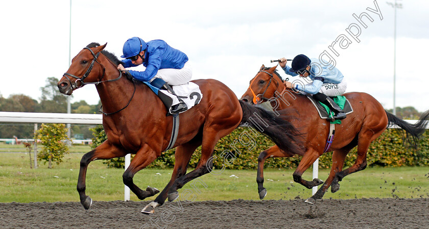 Desert-Peace-0002 
 DESERT PEACE (William Buick) wins The Close Brothers British Stallion Studs EBF Novice Stakes
Kempton 9 Oct 2019 - Pic Steven Cargill / Racingfotos.com