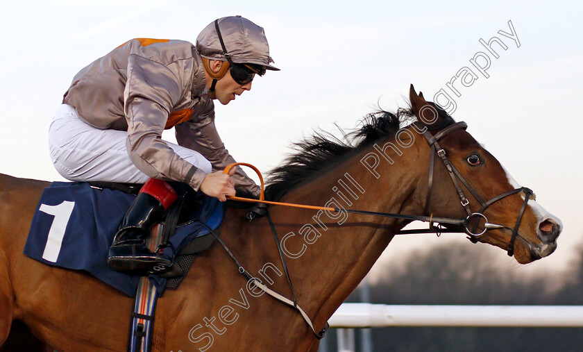 Eglish-0007 
 EGLISH (Ben Curtis) wins The Ladbrokes Football Acca Boosty Handicap
Wolverhampton 20 Jan 2020 - Pic Steven Cargill / Racingfotos.com