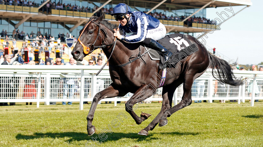 Theotherside-0003 
 THEOTHERSIDE (Pat Dobbs) wins The British Stallion Studs EBF Maiden Stakes Div1
Newbury 20 Sep 2019 - Pic Steven Cargill / Racingfotos.com