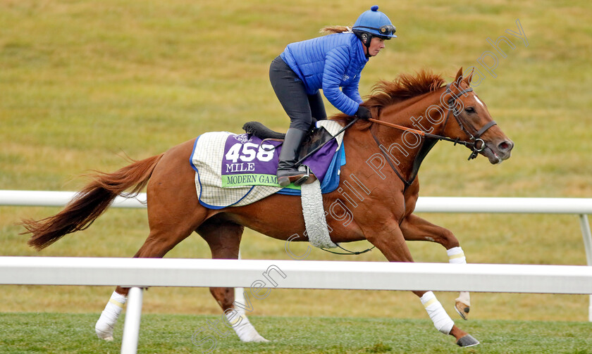 Modern-Games-0003 
 MODERN GAMES training for the Breeders' Cup Mile
Keeneland USA 2 Nov 2022 - Pic Steven Cargill / Racingfotos.com