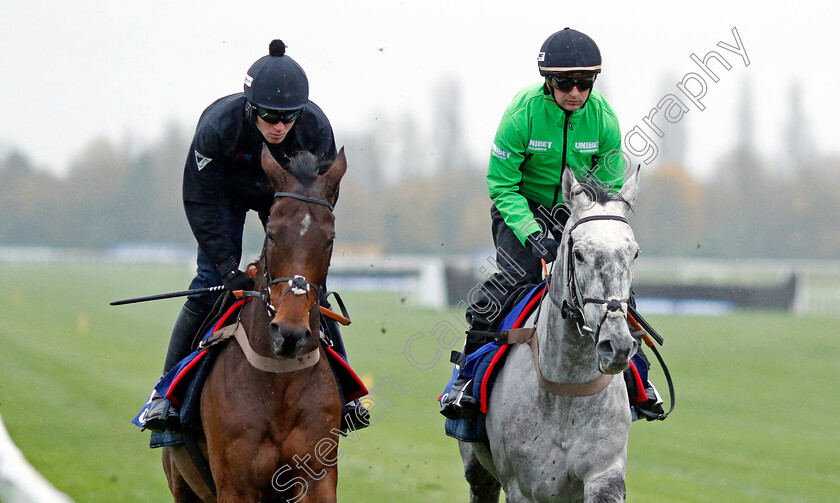 Kandoo-Kid-and-Inch-House-0001 
 KANDOO KID (right) with INCH HOUSE (left)
Coral Gold Cup gallops morning Newbury 19 Nov 20234 - Pic Steven Cargill / Racingfotos.com