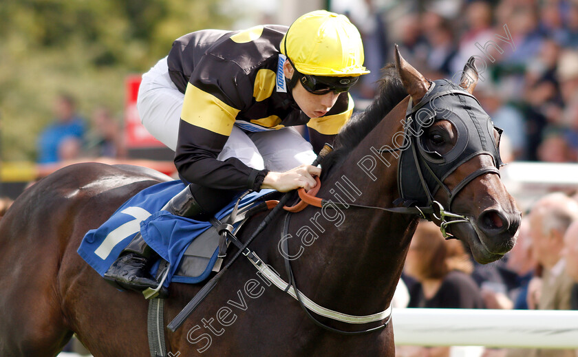 Rise-Hall-0006 
 RISE HALL (Callum Shepherd) wins The M J Church Novice Stakes
Salisbury 16 Aug 2018 - Pic Steven Cargill / Racingfotos.com