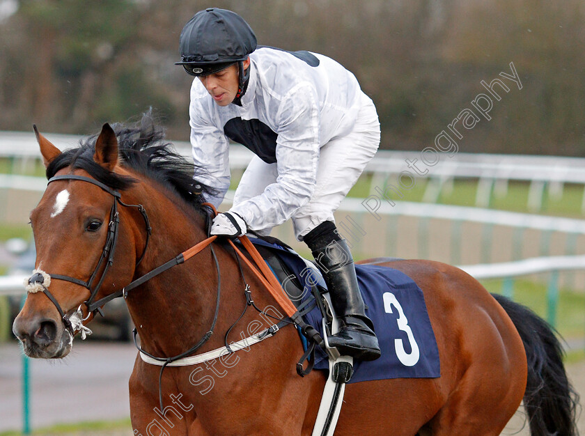 Opportunist-0002 
 OPPORTUNIST (Ben Curtis)
Lingfield 11 Dec 2019 - Pic Steven Cargill / Racingfotos.com