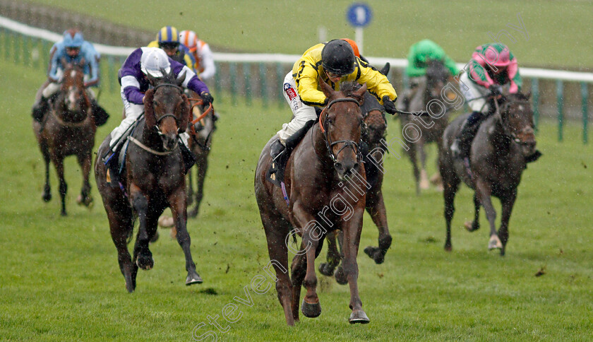 Rains-Of-Castamere-0003 
 RAINS OF CASTAMERE (Hollie Doyle) wins The Mansionbet Halloween Spooktacular Handicap
Newmarket 31 Oct 2020 - Pic Steven Cargill / Racingfotos.com