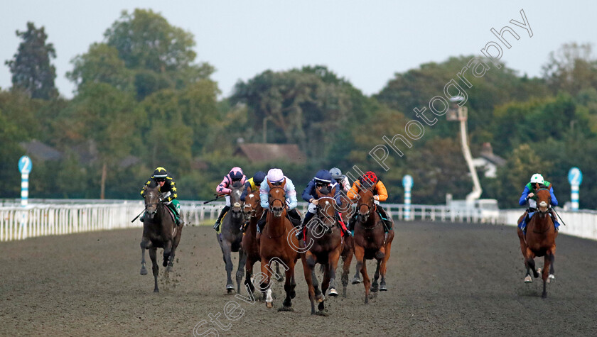 Lambert-0007 
 LAMBERT (Billy Loughnane) wins The Filon Heritage Valley Trough / EBF Restricted Novice Stakes
Kempton 8 Sep 2023 - Pic Steven Cargill / Racingfotos.com