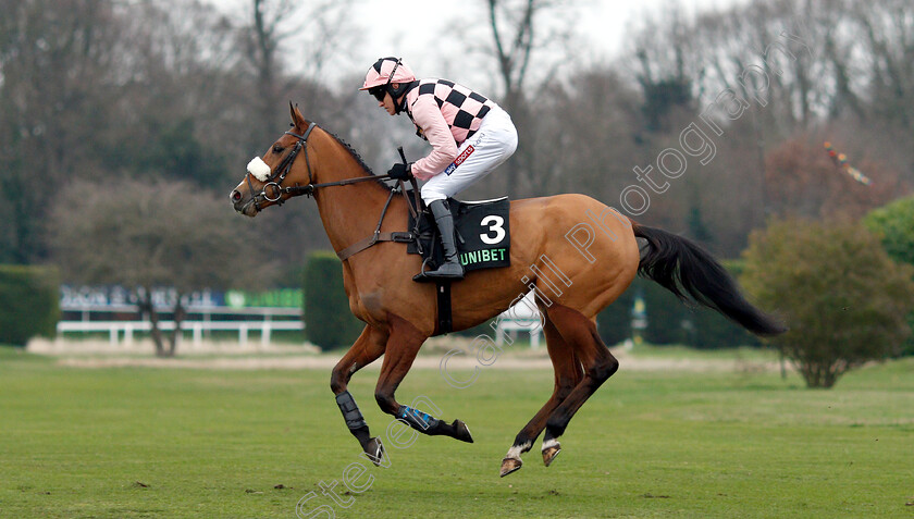 Sensulano-0001 
 SENSULANO (Barry Geraghty)
Sandown 5 Jan 2019 - Pic Steven Cargill / Racingfotos.com