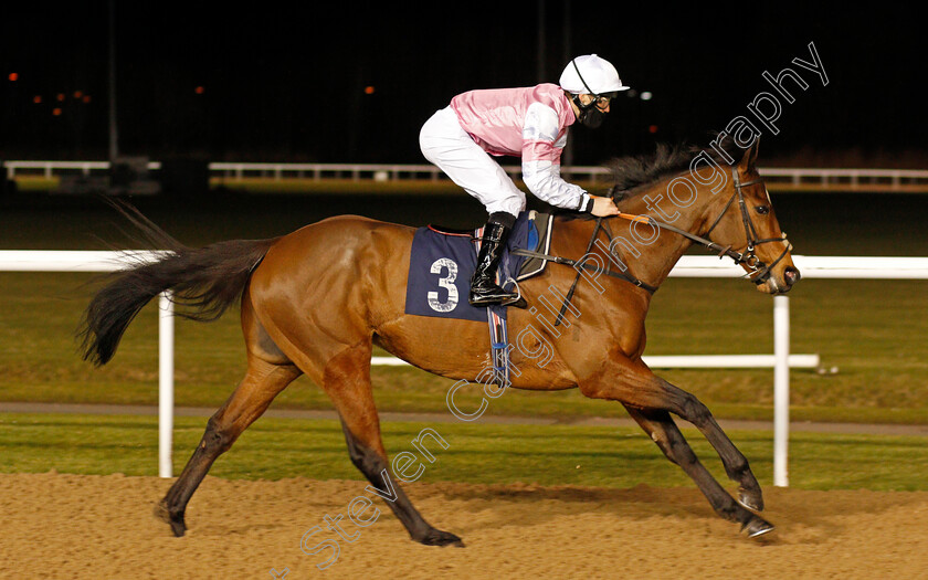 Attracted-0004 
 ATTRACTED (Rhys Clutterbuck) wins The Bombardier Apprentice Handicap
Wolverhampton 12 Mar 2021 - Pic Steven Cargill / Racingfotos.com