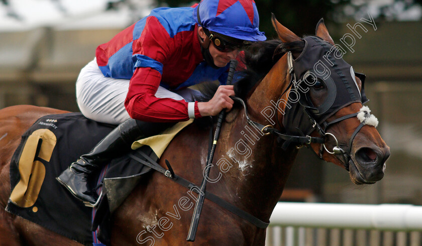 Lovely-Breeze-0005 
 LOVELY BREEZE (James Doyle) wins The Rich Energy Two Drinks One Taste Fillies Handicap
Newmarket 25 Jun 2021 - Pic Steven Cargill / Racingfotos.com