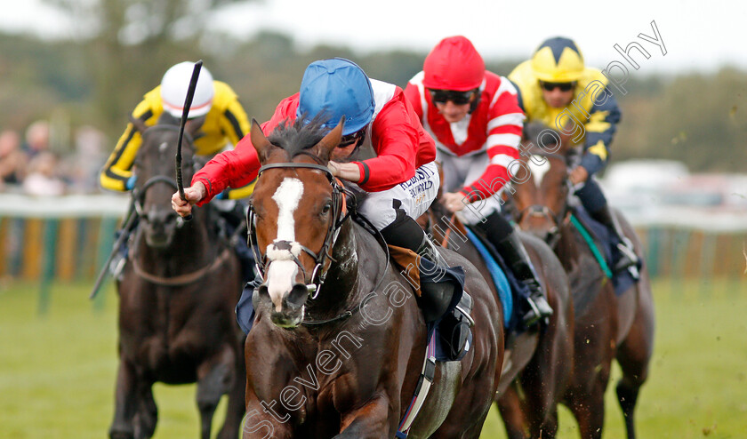 Regal-Reality-0007 
 REGAL REALITY (Ryan Moore) wins The Hobgoblin Legendary Ruby Ale EBF Maiden Stakes Div2 Yarmouth 20 Sep 2017 - Pic Steven Cargill / Racingfotos.com