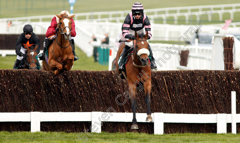 Kupatana-0002 
 KUPATANA (Harry Cobden) wins The EBF Thoroughbred Breeders Association Mares Novices Handicap Chase Series Final
Cheltenham 18 Apr 2019 - Pic Steven Cargill / Racingfotos.com