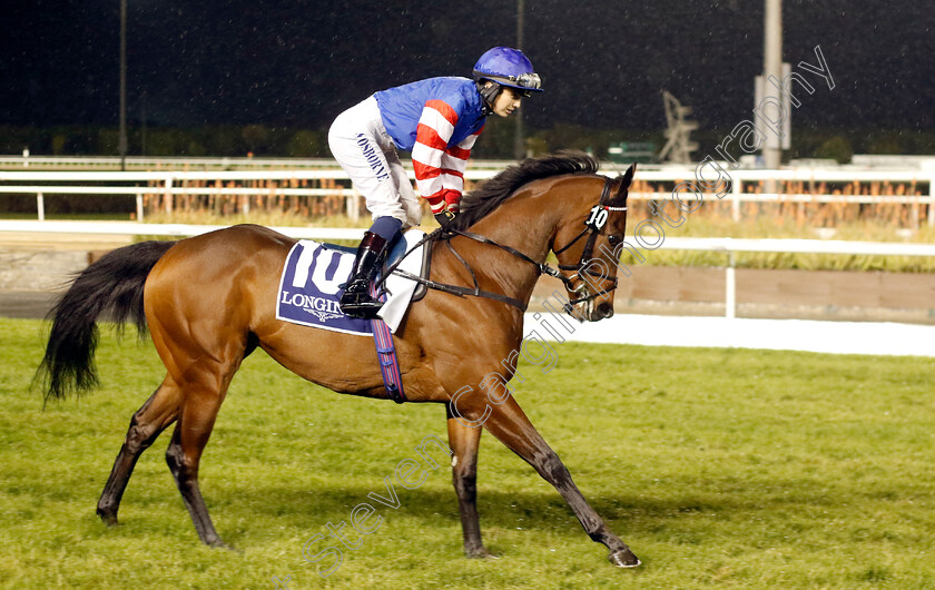 Perdika-0001 
 PERDIKA (Saffie Osborne)
Meydan 27 Jan 2023 - Pic Steven Cargill / Racingfotos.com