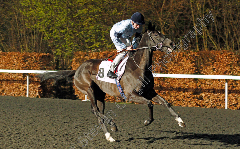 Affable-0002 
 AFFABLE (Rob Hornby)
Kempton 4 Mar 2020 - Pic Steven Cargill / Racingfotos.com