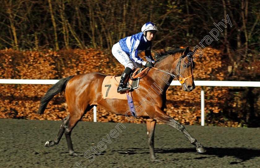 Win-Win-Power-0001 
 WIN WIN POWER (Silvestre De Sousa)
Kempton 4 Mar 2020 - Pic Steven Cargill / Racingfotos.com