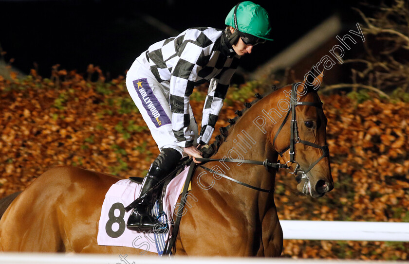 Lightship-0001 
 LIGHTSHIP (Daniel Muscutt)
Kempton 6 Dec 2023 - Pic Steven Cargill / Racingfotos.com