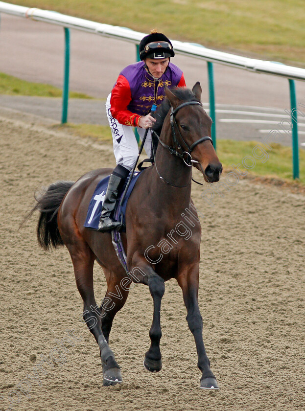 Round-The-Buoy-0002 
 ROUND THE BUOY (Daniel Tudhope) Lingfield 6 Jan 2018 - Pic Steven Cargill / Racingfotos.com