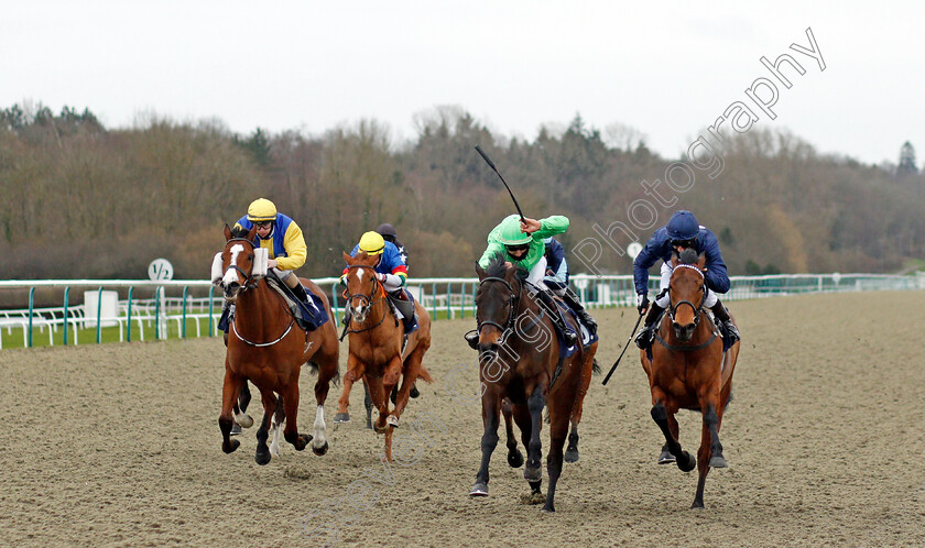 Arctic-Sea-0001 
 ARCTIC SEA (centre, Mohammed Tabti) beats SONGKRAN (right) and RENARDEAU (left) in The Betway Handicap
Lingfield 19 Feb 2021 - Pic Steven Cargill / Racingfotos.com