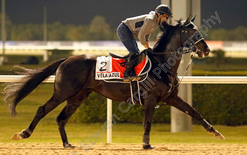 Vela-Azul-0001 
 VELA AZUL training for the Dubai World Cup
Meydan, Dubai, 21 Mar 2023 - Pic Steven Cargill / Racingfotos.com